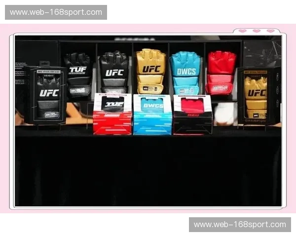 数据UFC——把数据打造成企业的冠军拳套